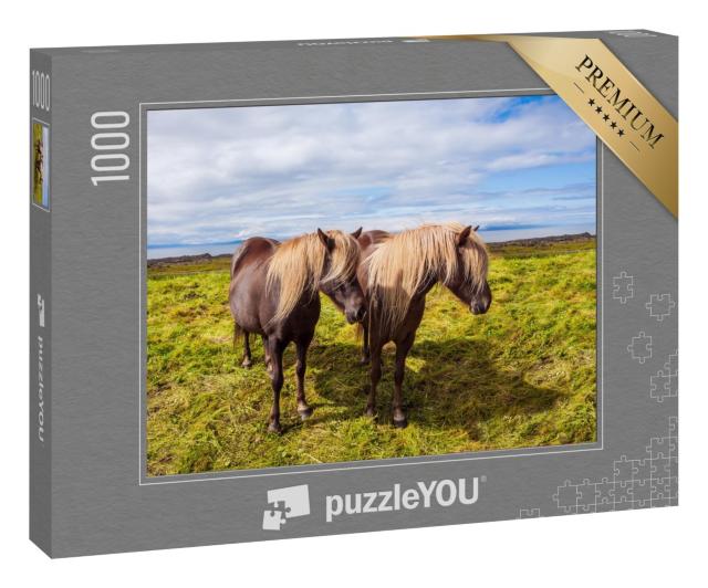Puzzle 1000 Teile „Island-Pferde in der sommerlichen Thundra von Island“
