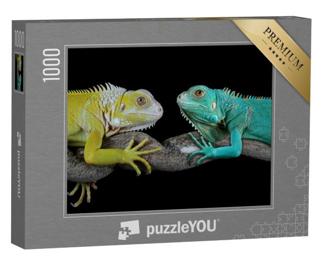 Puzzle 1000 Teile „Grand Cayman Blue Iguanas“
