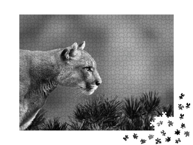 Puzzle 1000 Teile „Seitenportrait eines Pumas “