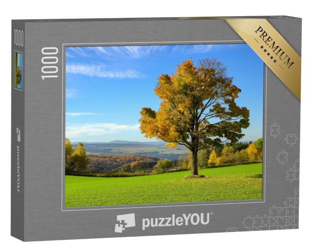 Puzzle 1000 Teile „Herbstlicher Baum im Erzgebirge, Deutschland“