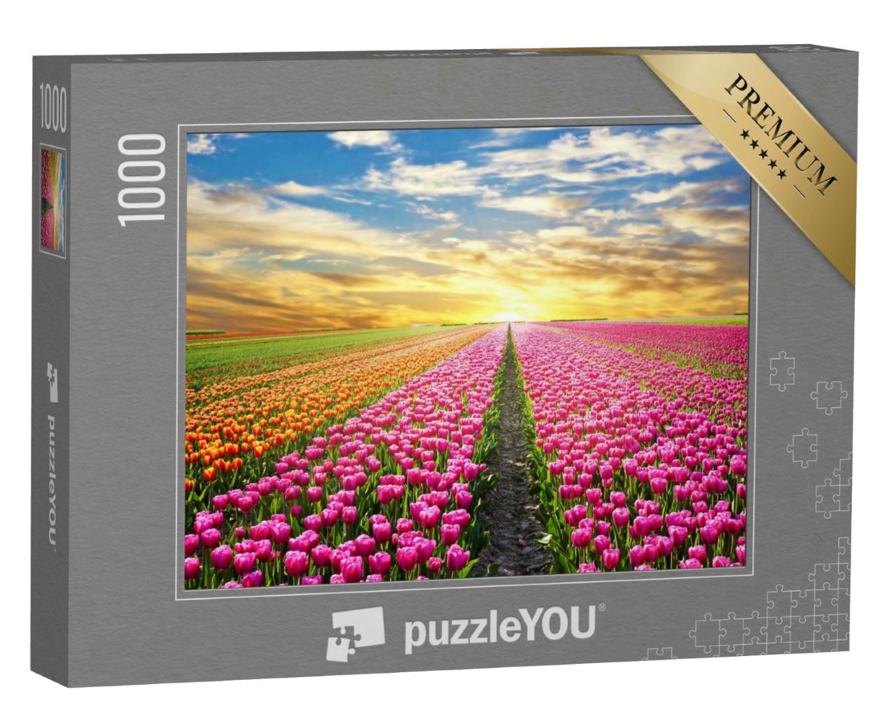 Puzzle 1000 Teile „Unendliche Tulpenfelder in den Niederlanden“