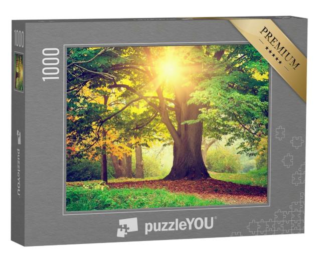 Puzzle 1000 Teile „Abend im Park“