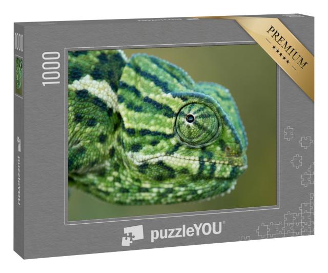 Puzzle 1000 Teile „Ein Chamäleon “