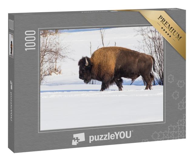 Puzzle 1000 Teile „Amerikanischer Bison inmitten der Winterlandschaft“