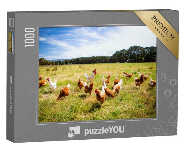 Puzzle 1000 Teile „Eine Hühnerherde läuft frei, Australien“