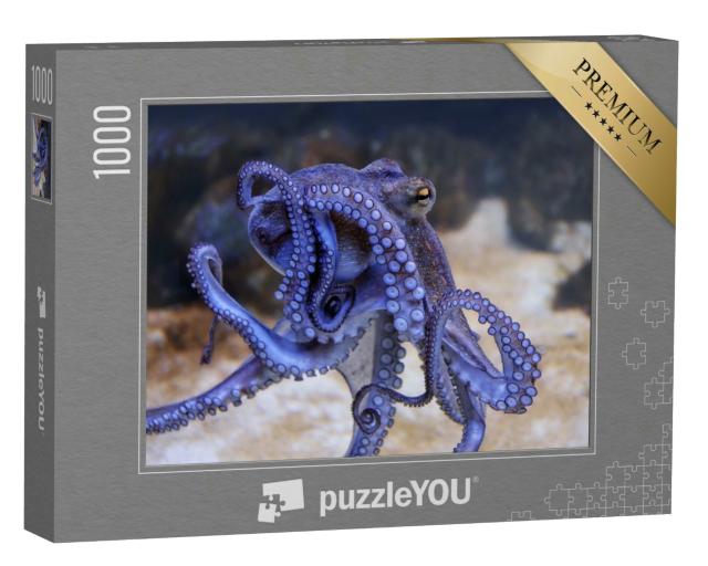 Puzzle 1000 Teile „Blauer Oktopus in einem Aquarium“