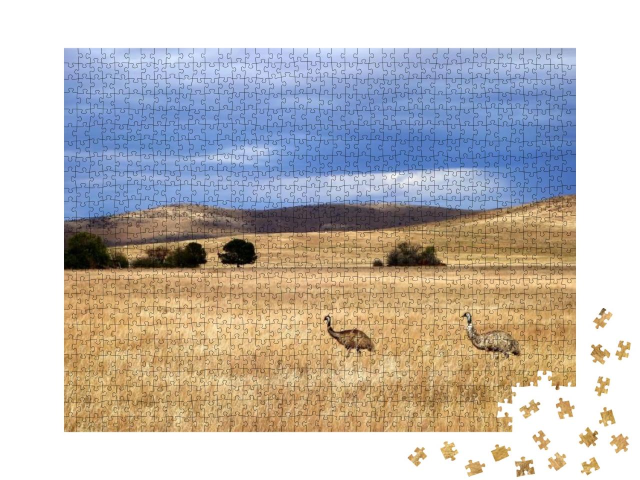 Puzzle 1000 Teile „Emus in Südaustralien“