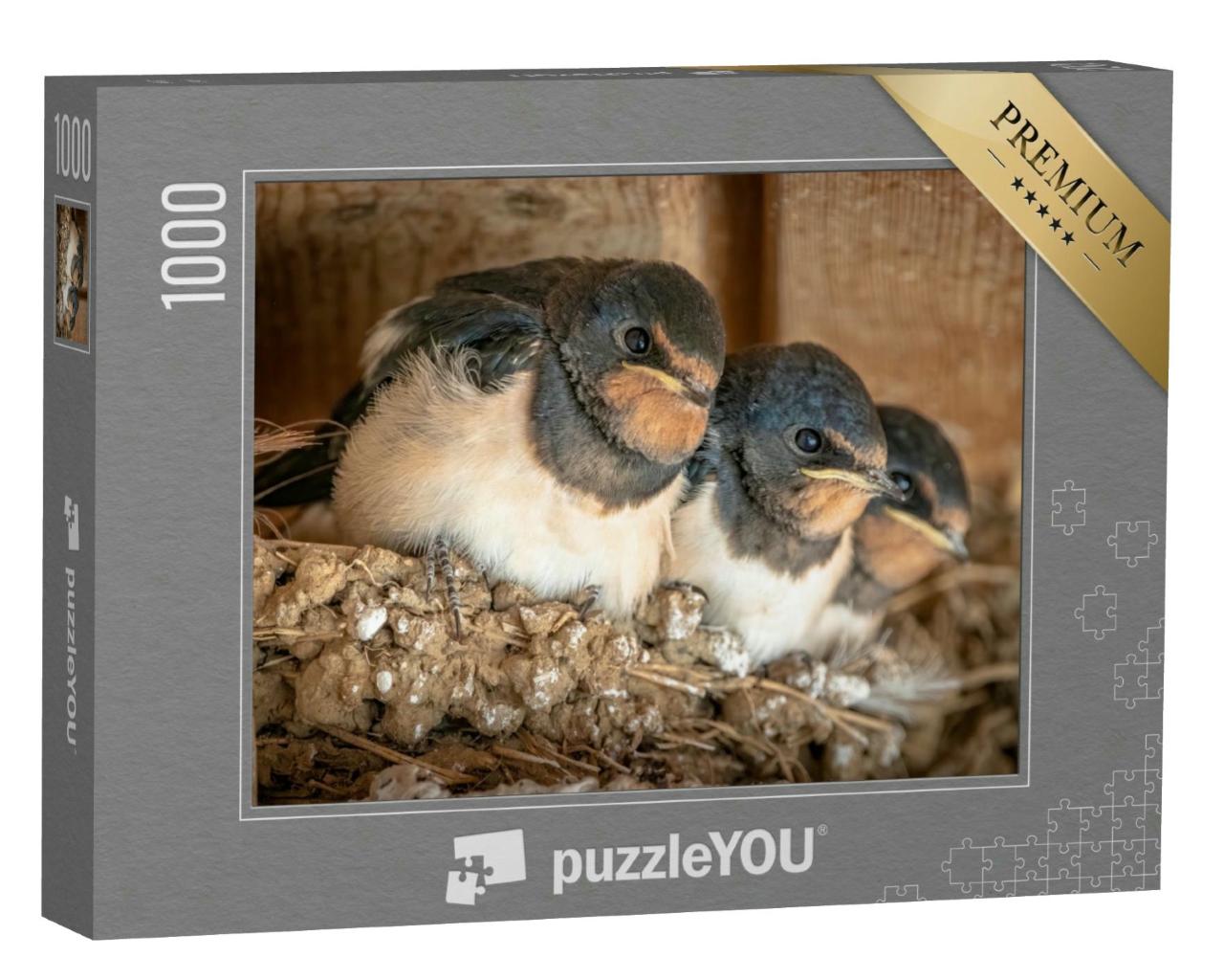 Puzzle 1000 Teile „Niedliche Schwalbenküken in ihrem Nest“
