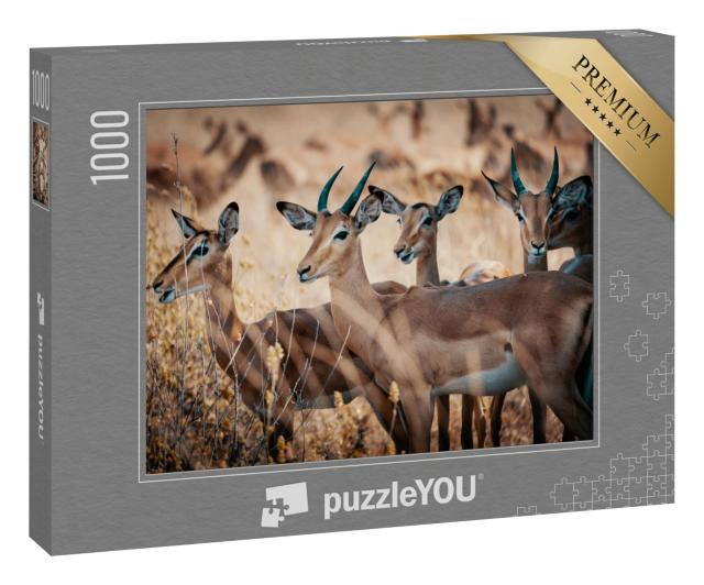 Puzzle 1000 Teile „Eine Gruppe von Impala-Antilopen im Chobe-Nationalpark, Botswana“