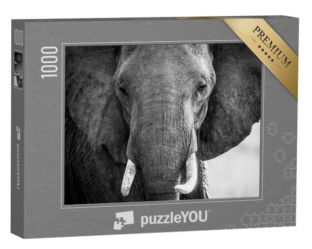 Puzzle 1000 Teile „Elefantenrüssel und Elfenbein mit Gesicht in der Masai Mara in Kenia“