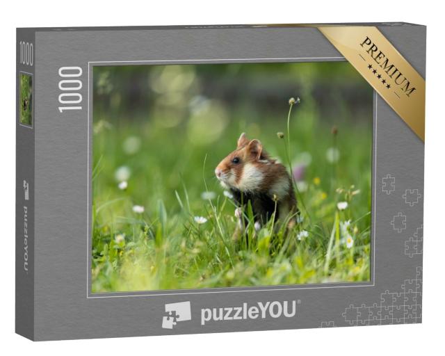 Puzzle 1000 Teile „Feldhamster auf einer grünen Wiese mit Blumen“