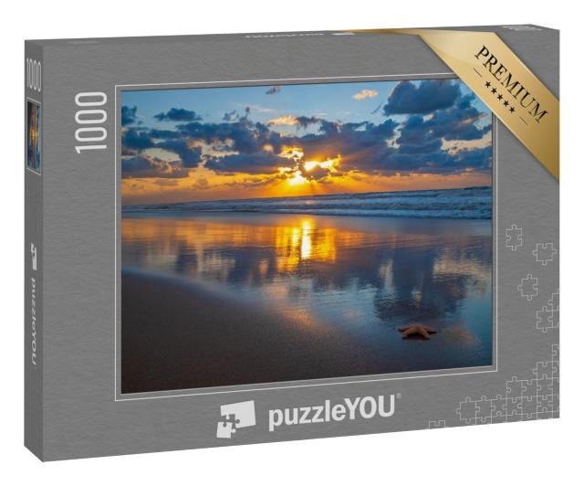 Puzzle 1000 Teile „Seeiglel im Sonnenuntergang, Oostende, Belgien.“