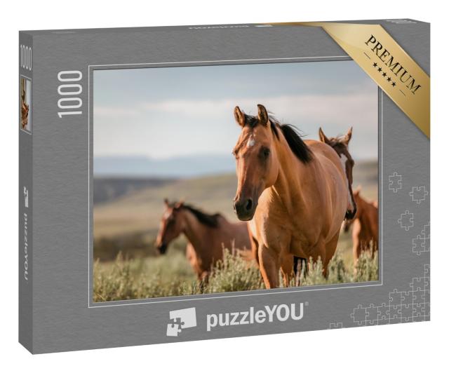Puzzle 1000 Teile „Amerikanische Quarter Horse Ranch Pferde in Wyoming, USA“