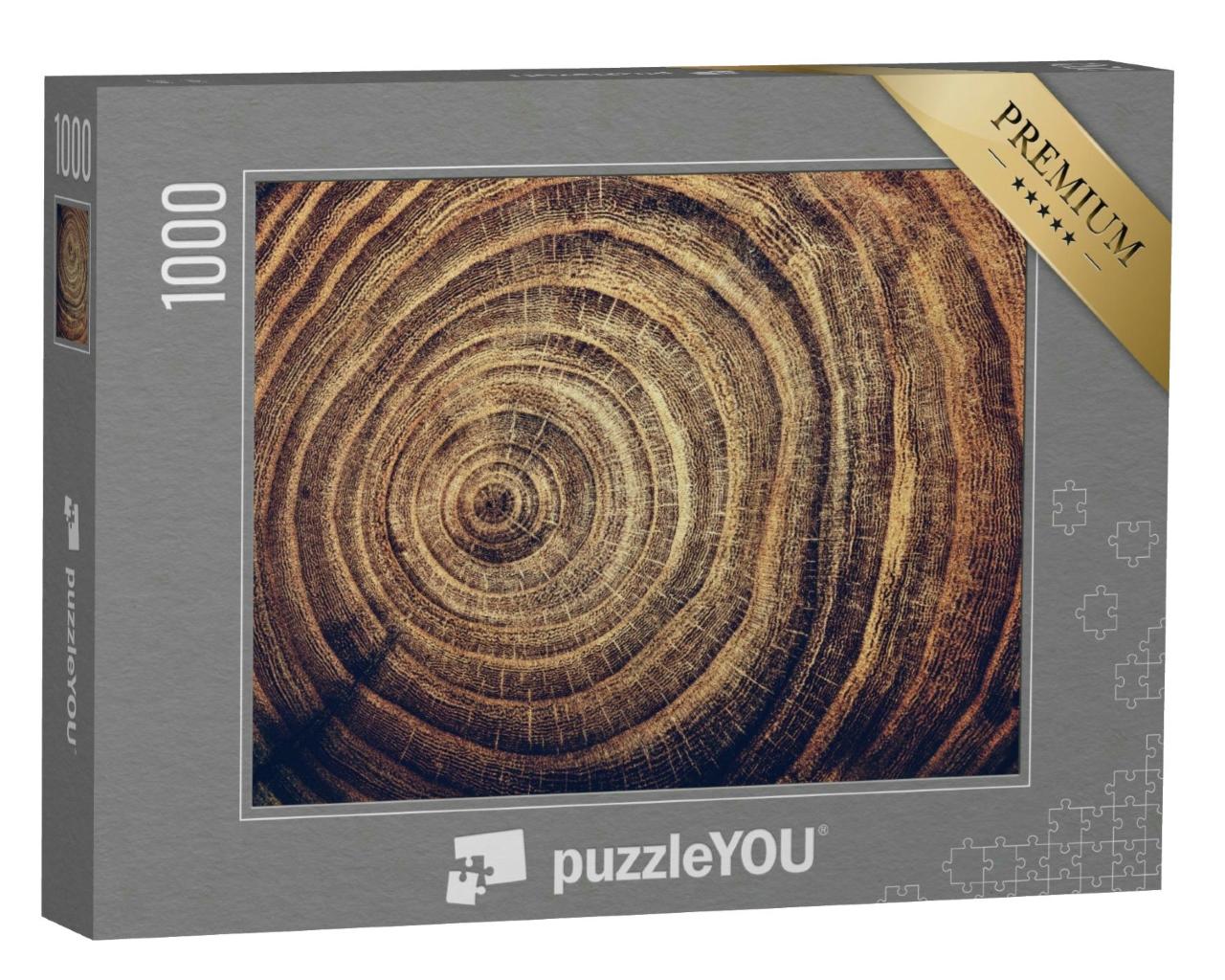 Puzzle 1000 Teile „Stumpf einer gefällten Eiche mit Jahresringen“