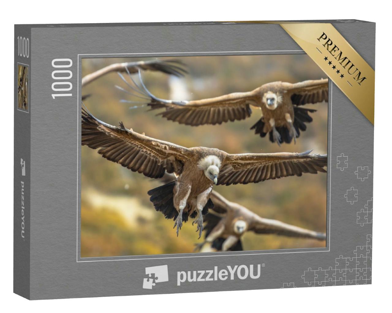 Puzzle 1000 Teile „Fliegende Gänsegeier in den spanischen Pyrenäen“