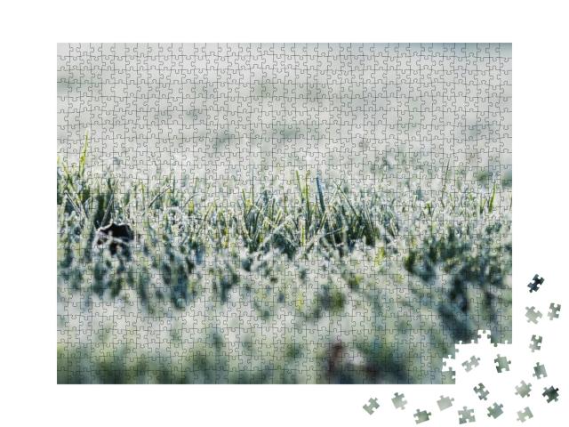 Puzzle 1000 Teile „Frost auf dem Gras in der kalten Jahreszeit“