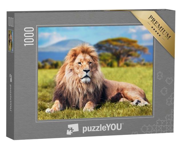 Puzzle 1000 Teile „Großer Löwe im Savannengras“
