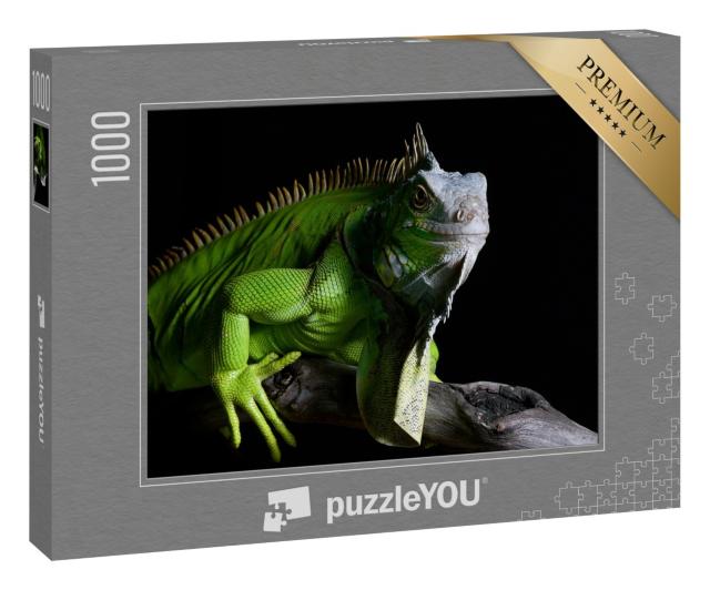 Puzzle 1000 Teile „Großer grüner Leguan  “