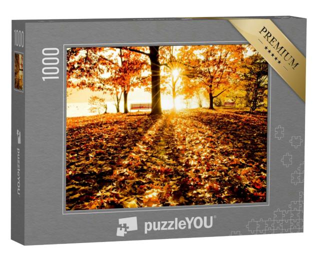 Puzzle 1000 Teile „Herbstbäume und Bank am Wasser in der Abendsonne“