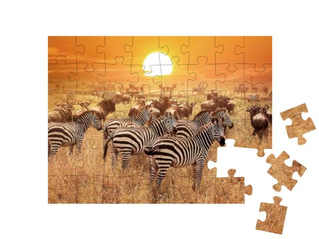 Puzzle 48 Teile „Zebra bei Sonnenuntergang im Serengeti-Nationalpark, Afrika, Tansania“
