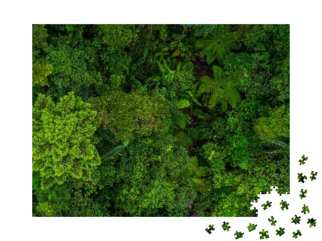 Puzzle 1000 Teile „Das grüne Dach des Regenwaldes “