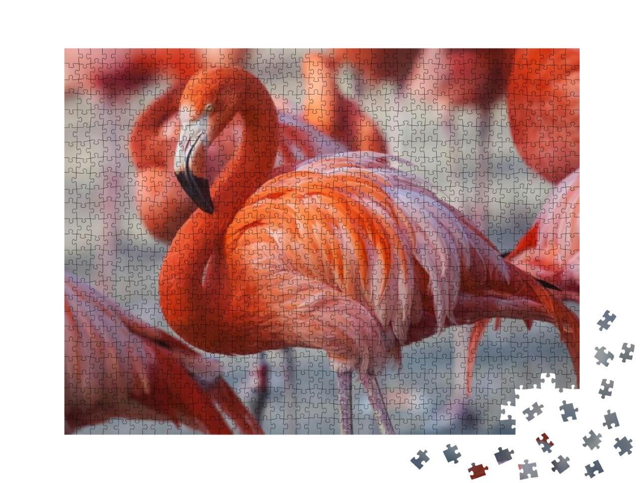 Puzzle 1000 Teile „Rosa Flamingos“