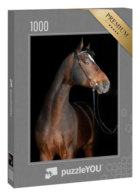 Puzzle 1000 Teile „Braunes Pferd “