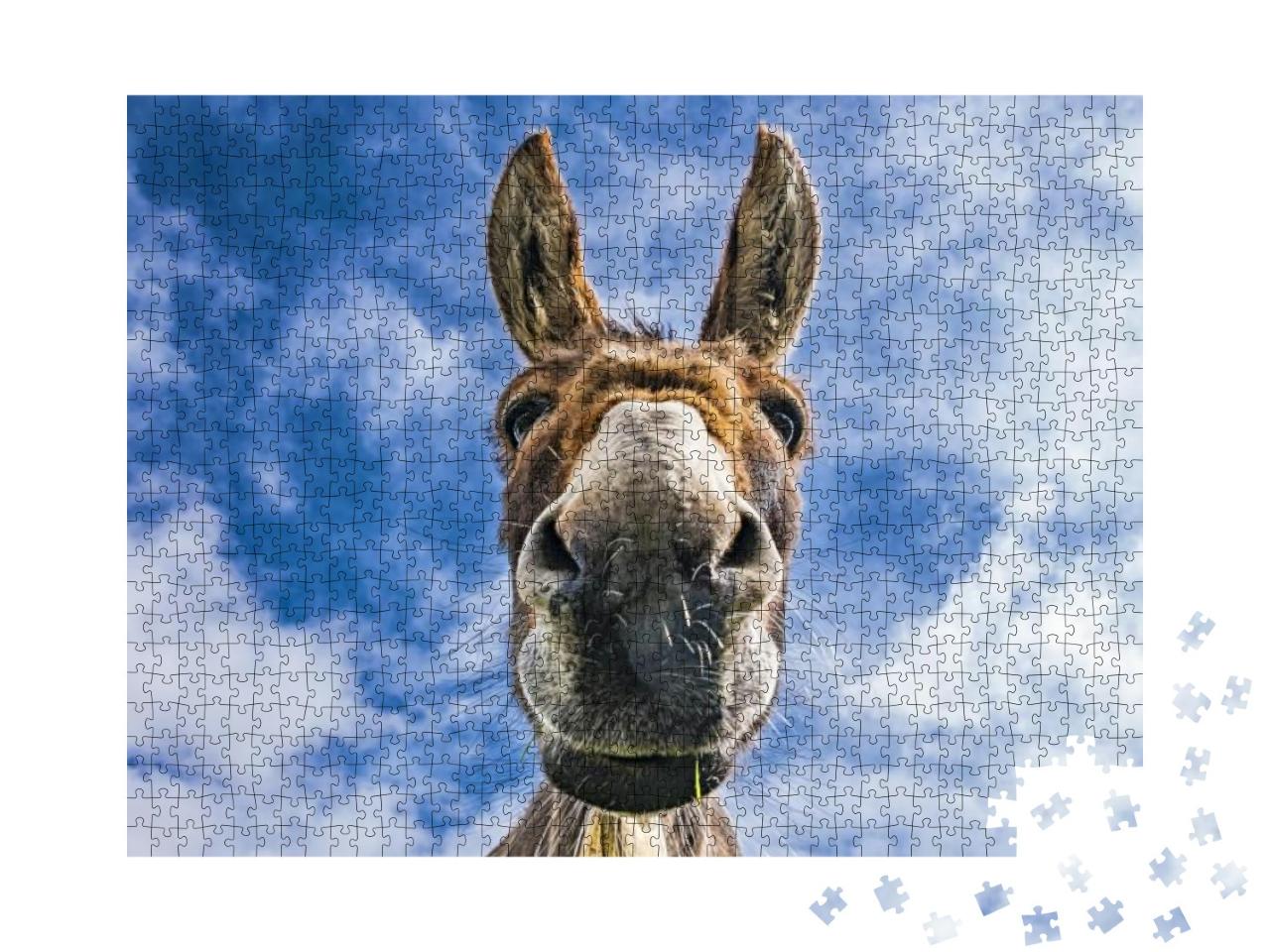 Puzzle 1000 Teile „Esel in Nahaufnahme“