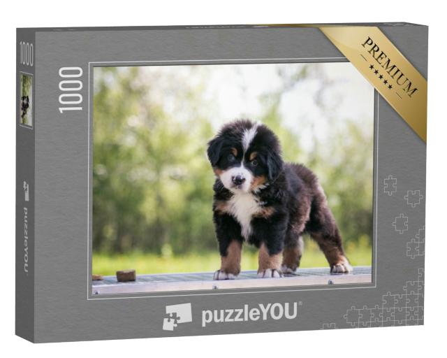 Puzzle 1000 Teile „Niedlicher Berner Sennenhund Welpe“
