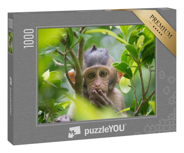 Puzzle 1000 Teile „Ein Affe in einem Wald in Thailand“