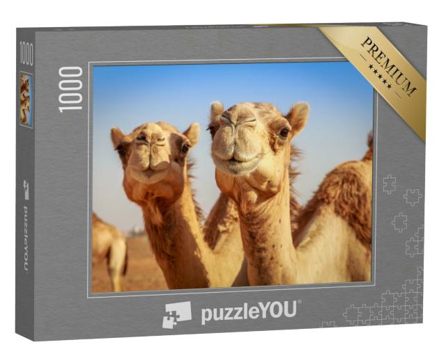 Puzzle 1000 Teile „Freilebende Kamele in Arabien“