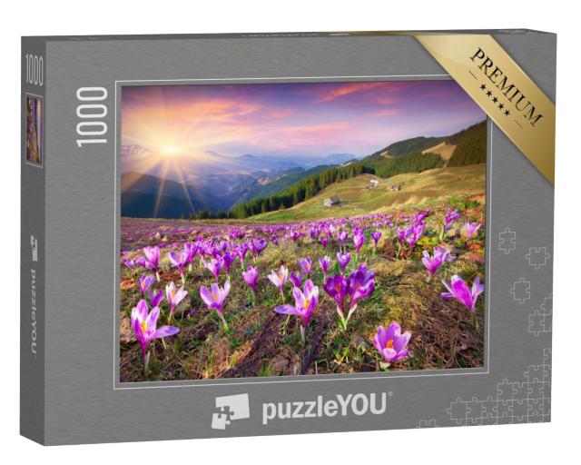 Puzzle 1000 Teile „Sonnenuntergang über blühenden Krokussen in den Bergen“