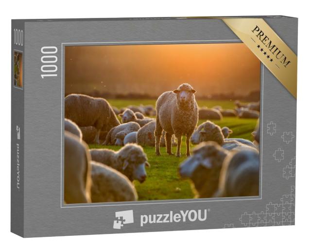 Puzzle 1000 Teile „Schafherde bei Sonnenuntergang“