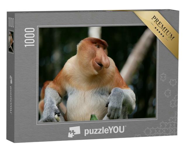 Puzzle 1000 Teile „Ausgewachsener männlicher Proboscis-Affe oder Langnasenaffe“