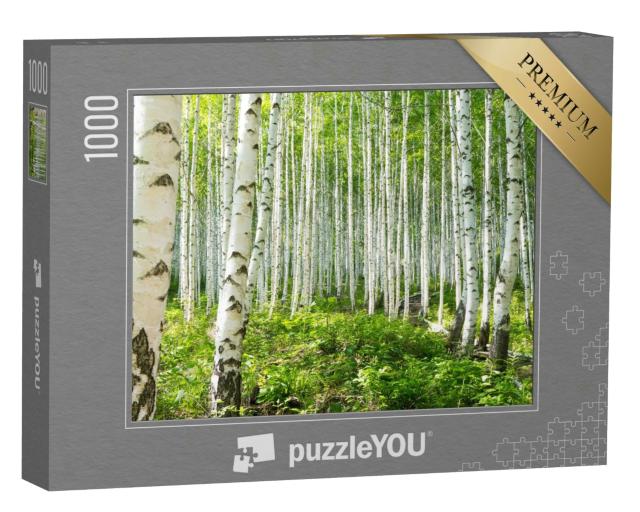 Puzzle 1000 Teile „Sommerliche Birkenwälder“