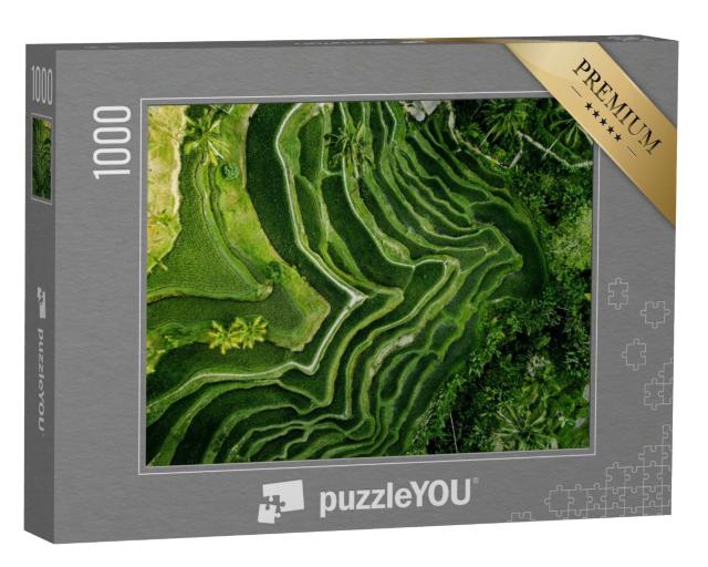 Puzzle 1000 Teile „Reisplantage in Bali von oben, Indonesien“