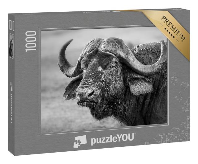 Puzzle 1000 Teile „Mit Schlamm bedeckter Büffel, Südafrika“