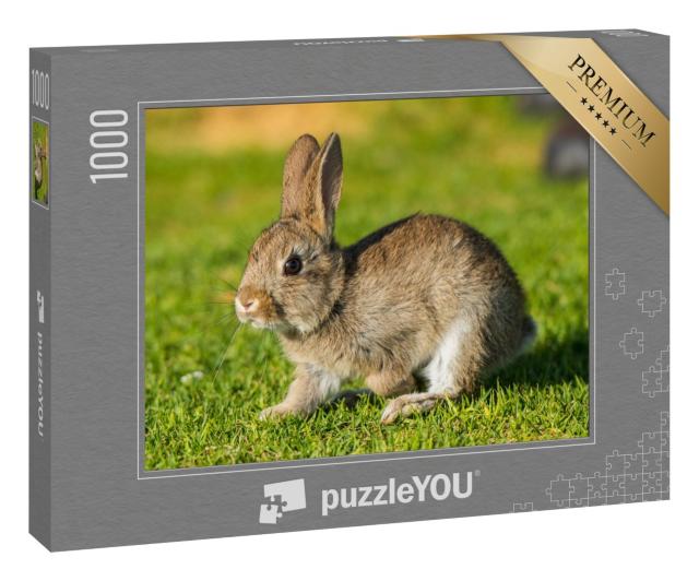 Puzzle 1000 Teile „Kaninchen, Hase“