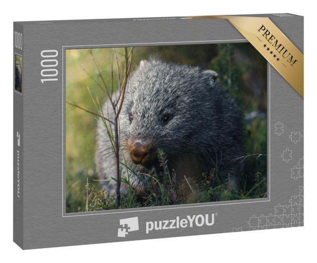 Puzzle 1000 Teile „Wombat auf seinem Snack-Run“