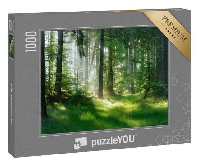 Puzzle 1000 Teile „Eine mystische Atmosphäre im Fichtenwald“