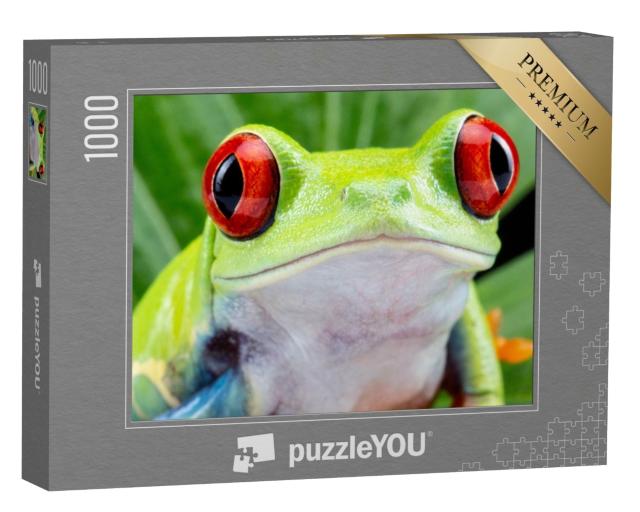 Puzzle 1000 Teile „Rotäugiger Laubfrosch“