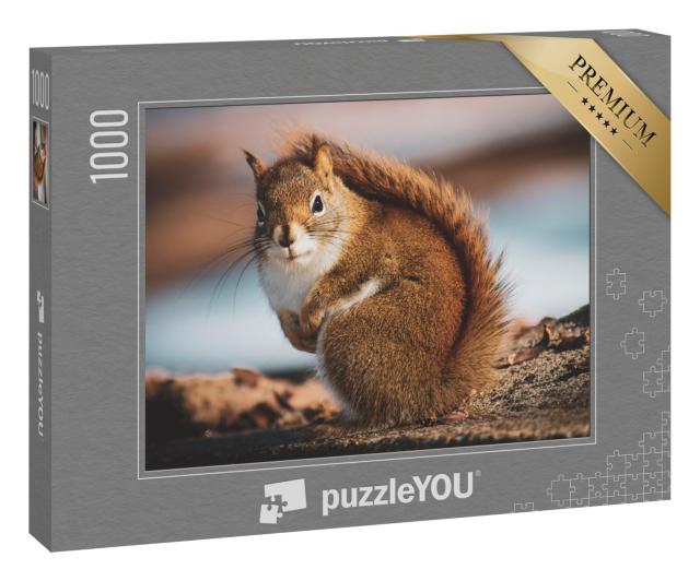 Puzzle 1000 Teile „Kleines Eichhörnchen im Wald“
