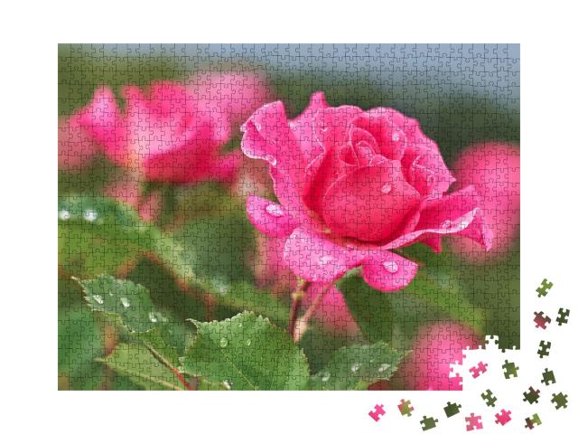 Puzzle 1000 Teile „Rosa Rose mit Regentropfen“