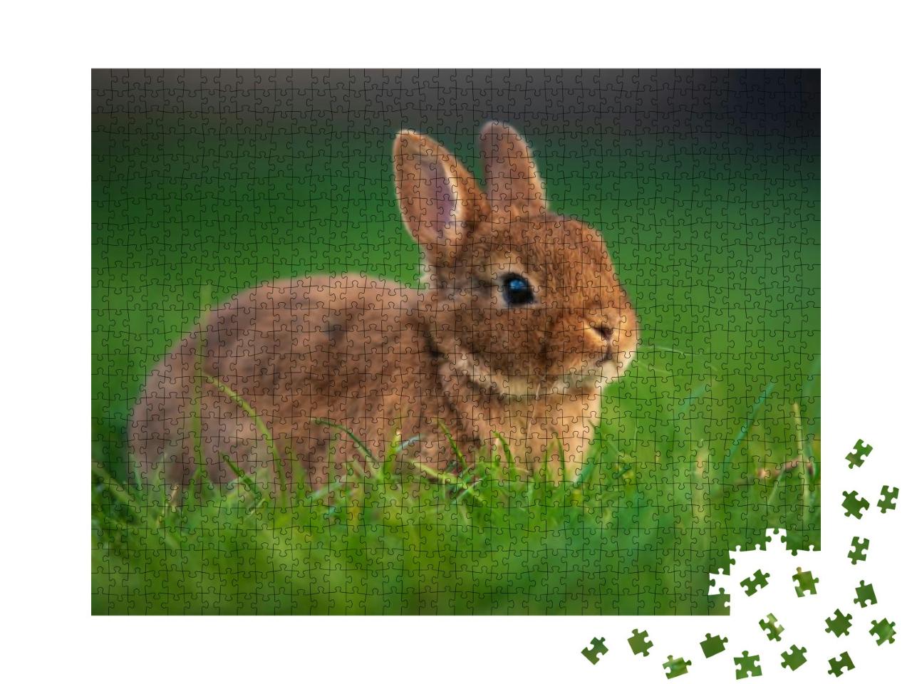 Puzzle 1000 Teile „Baby-Kaninchen auf grünem Gras“