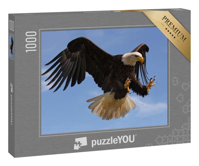 Puzzle 1000 Teile „Ein fliegender Adler“