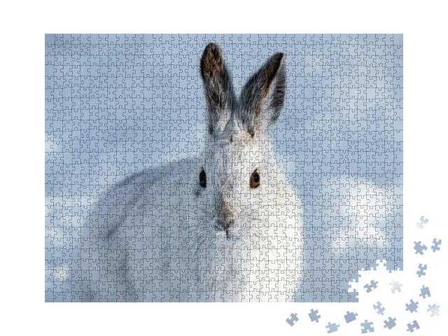 Puzzle 1000 Teile „Weißer Schneeschuhhase mit braunen Ohren“