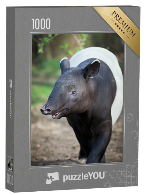Puzzle 1000 Teile „Nahaufnahme Malaiischer Tapir“