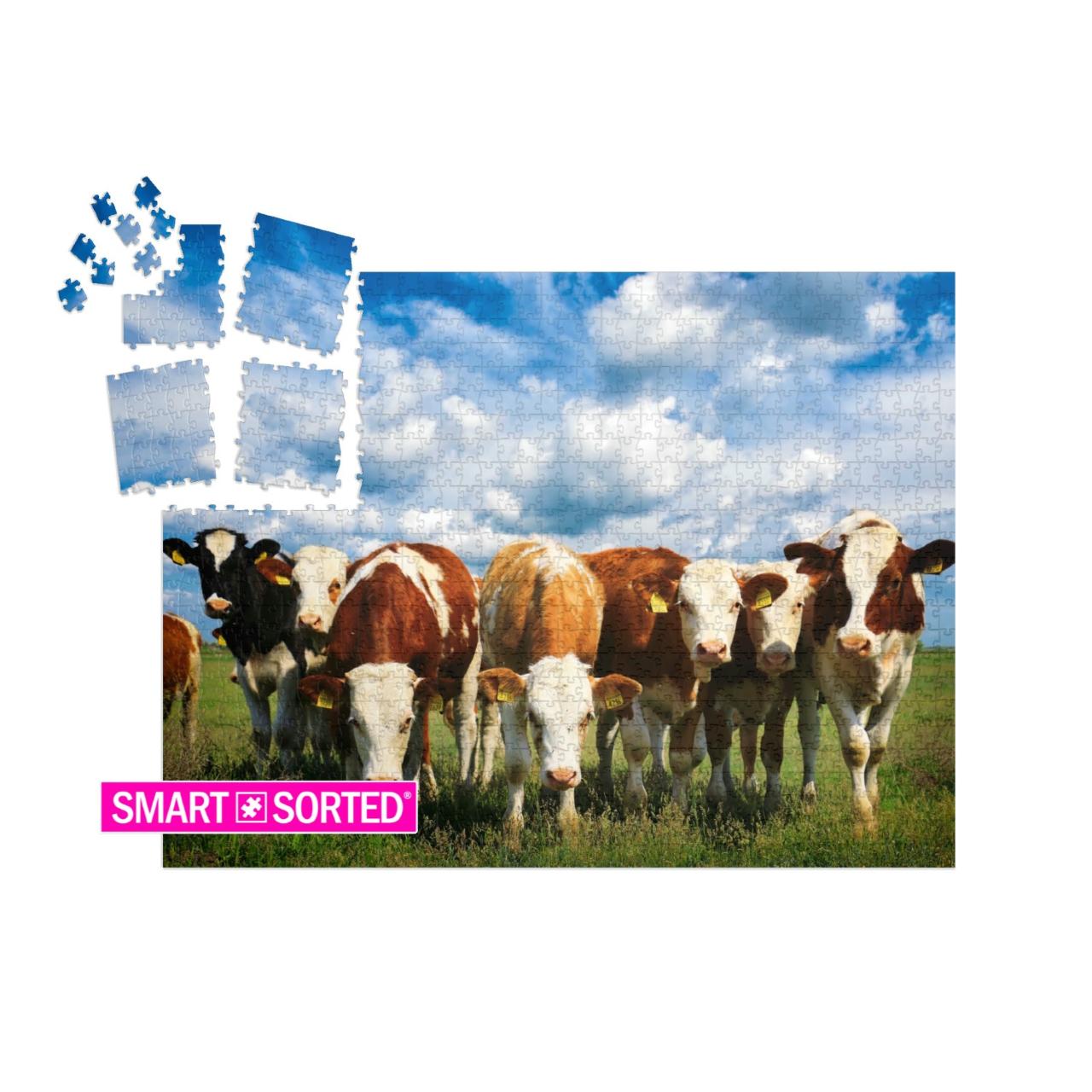 SMART SORTED® | Puzzle 1000 Teile „Kühe auf einer grünen Sommerwiese“