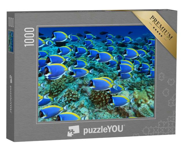 Puzzle 1000 Teile „Schwarm von Doktorfischen im Korallenriff“