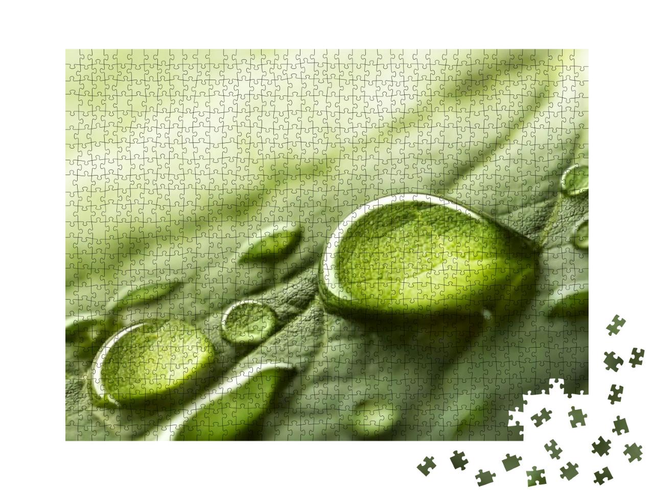 Puzzle 1000 Teile „Tropfen von Regenwasser auf einem grünen Blatt“
